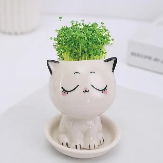 🐾 Let’s Get Purr - sonal with The Quirkery’s Mini Cat Flowerpot! 🌿✨ - The Quirkery