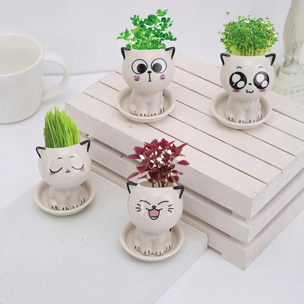 🐾 Let’s Get Purr - sonal with The Quirkery’s Mini Cat Flowerpot! 🌿✨ - The Quirkery