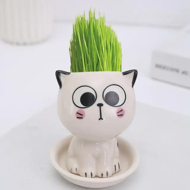 🐾 Let’s Get Purr - sonal with The Quirkery’s Mini Cat Flowerpot! 🌿✨ - The Quirkery