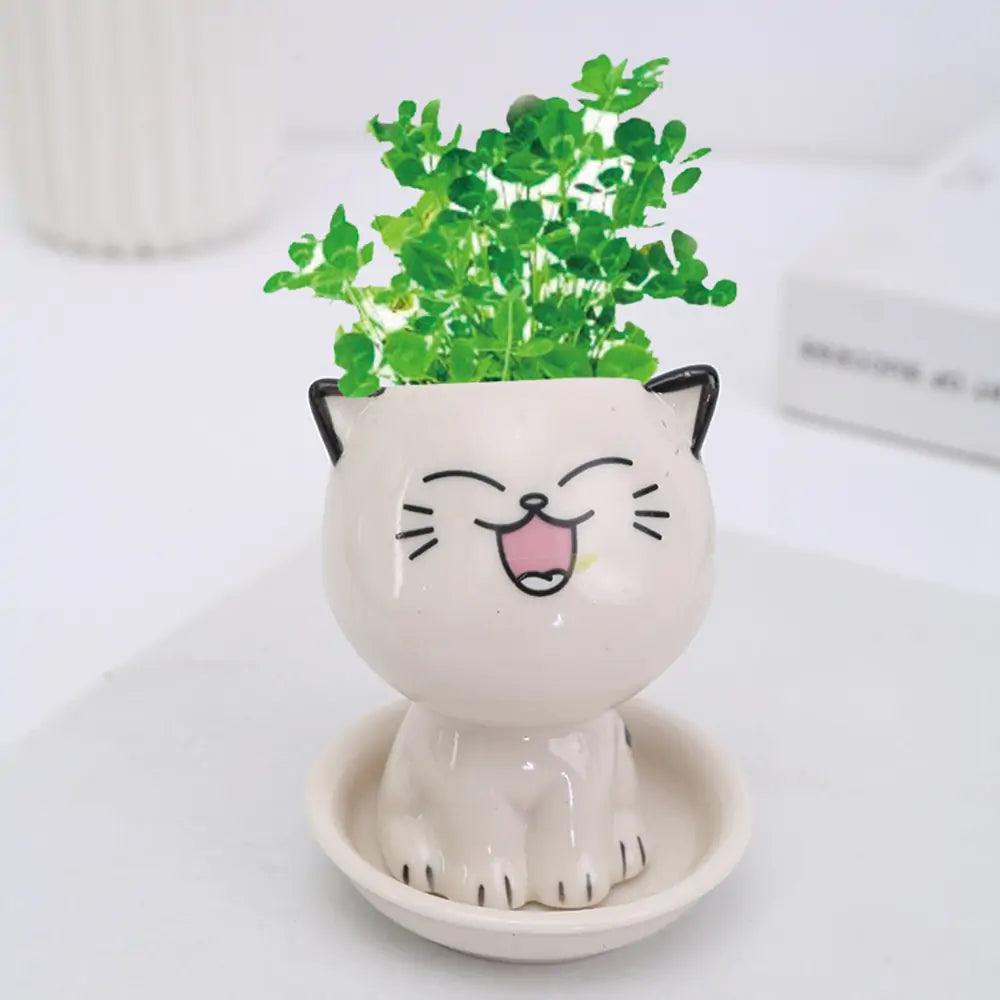 🐾 Let’s Get Purr - sonal with The Quirkery’s Mini Cat Flowerpot! 🌿✨ - The Quirkery