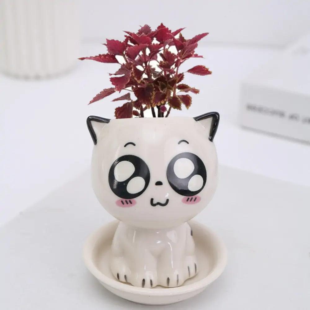 🐾 Let’s Get Purr - sonal with The Quirkery’s Mini Cat Flowerpot! 🌿✨ - The Quirkery