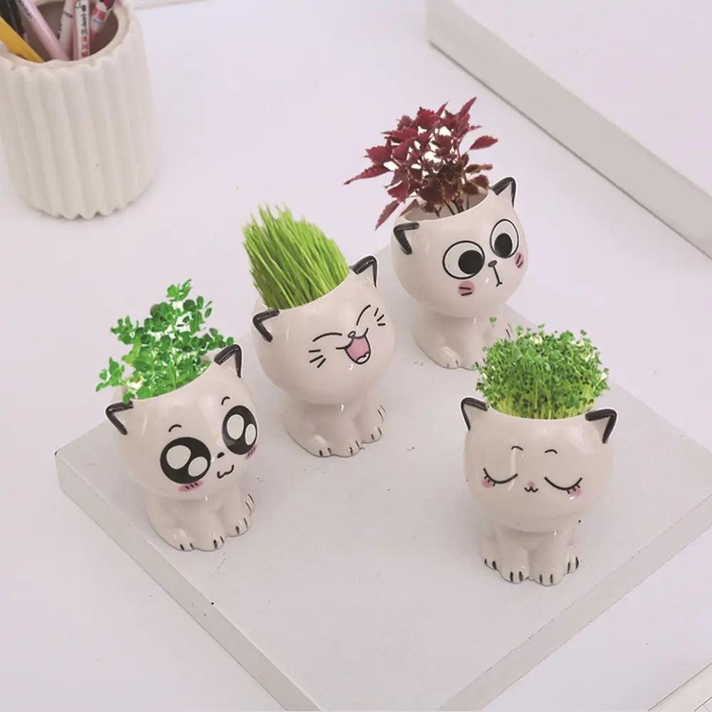 🐾 Let’s Get Purr - sonal with The Quirkery’s Mini Cat Flowerpot! 🌿✨ - The Quirkery