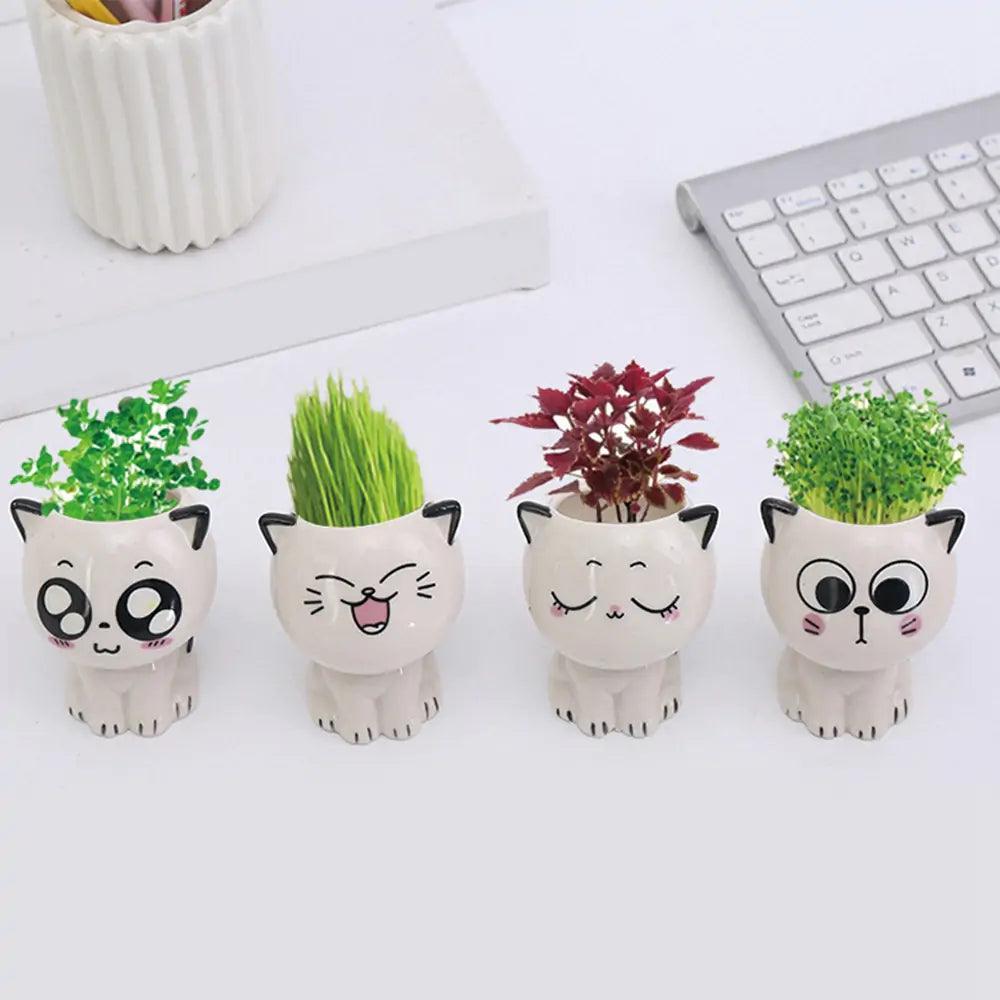 🐾 Let’s Get Purr - sonal with The Quirkery’s Mini Cat Flowerpot! 🌿✨ - The Quirkery