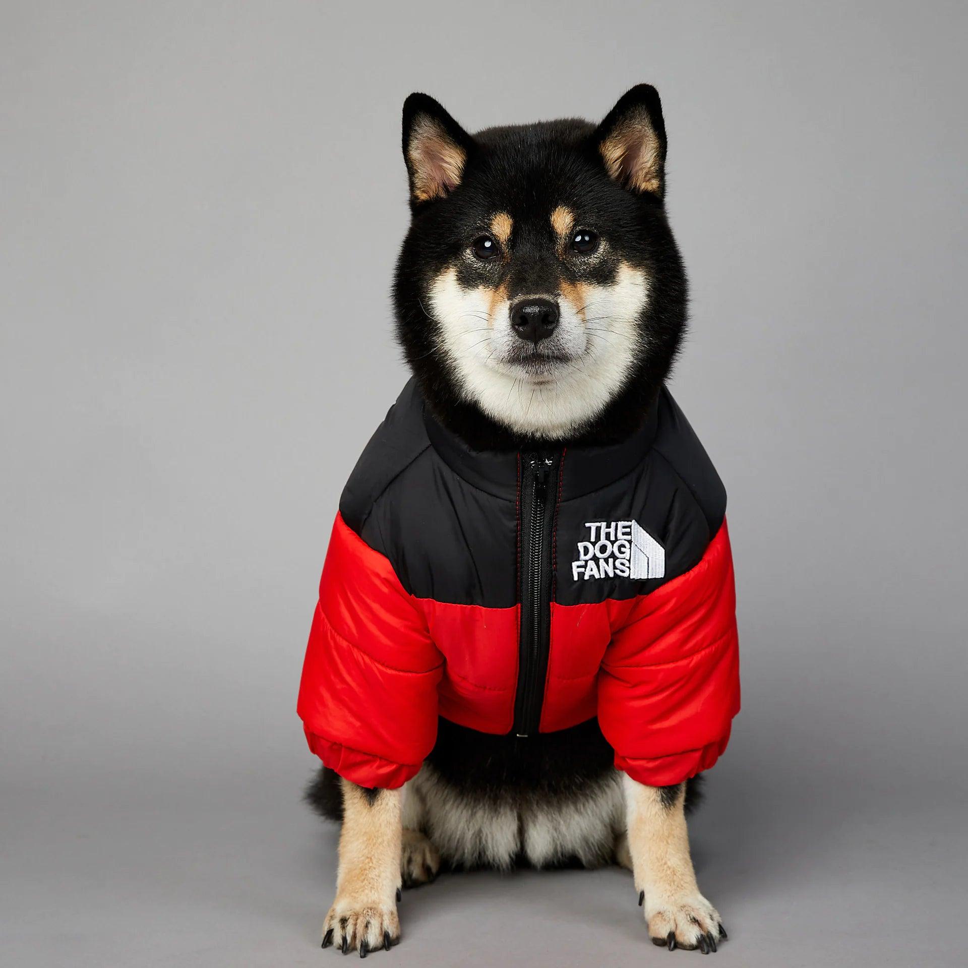 🐾 Quirk Up Your Pup – The Ultimate Fashion Dog Hoodie! 🐶✨ - The Quirkery