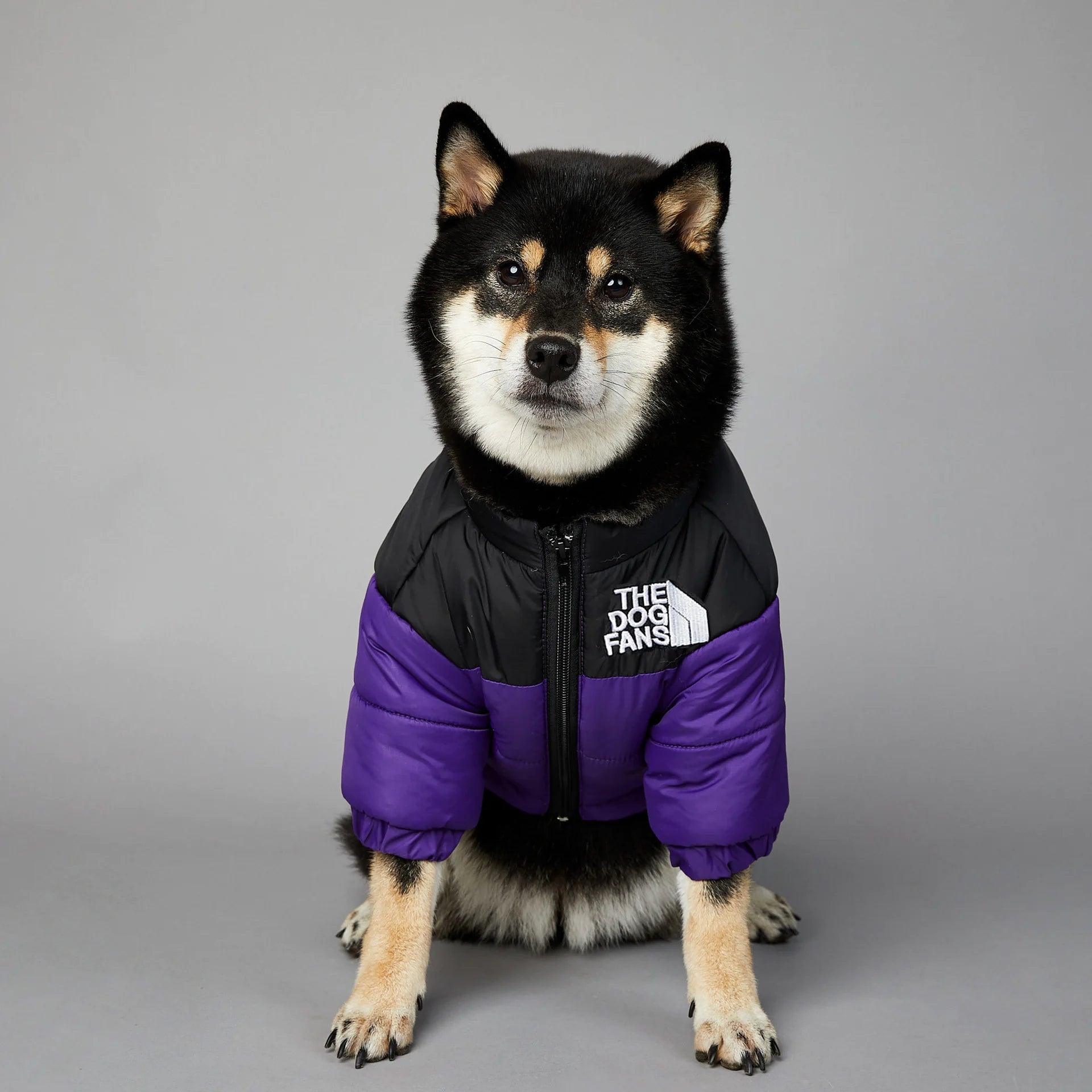 🐾 Quirk Up Your Pup – The Ultimate Fashion Dog Hoodie! 🐶✨ - The Quirkery