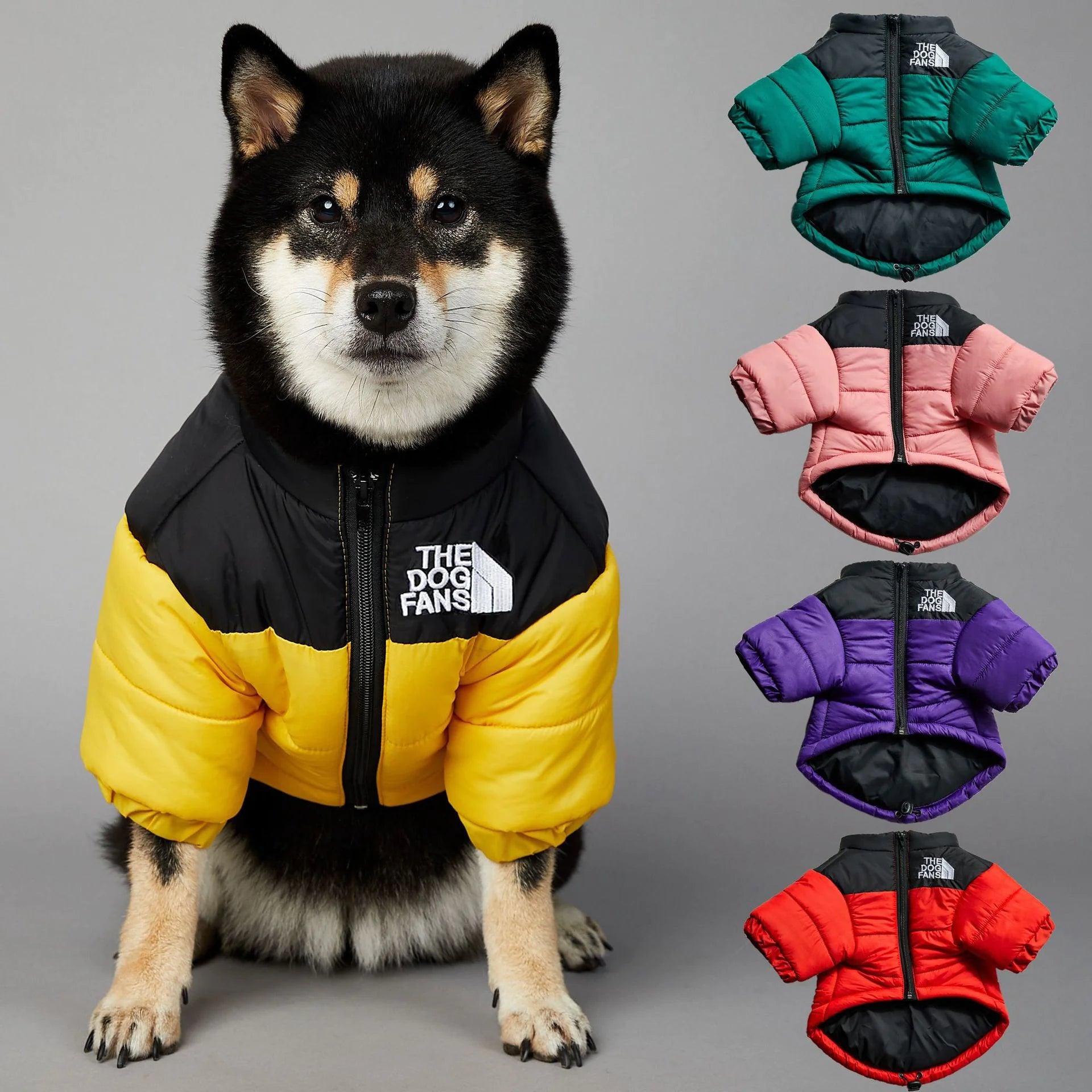 🐾 Quirk Up Your Pup – The Ultimate Fashion Dog Hoodie! 🐶✨ - The Quirkery