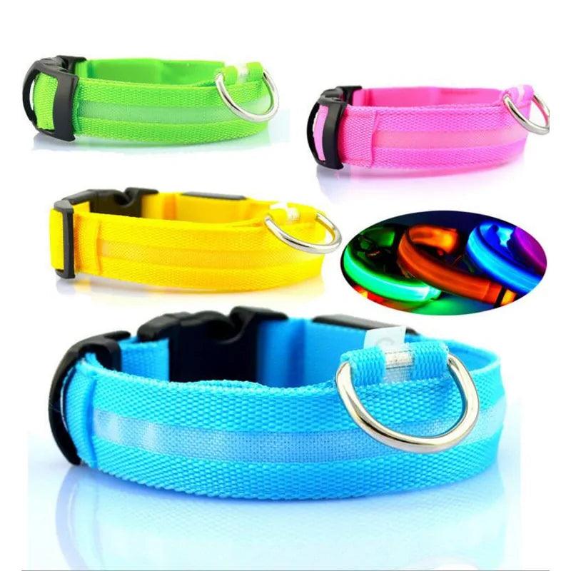 ✨ The Quirkery’s LED Pet Collar – For Pets, Kids, and Kevin’s Nighttime Adventures! 🐾🌟 - The Quirkery