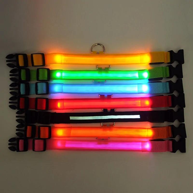 ✨ The Quirkery’s LED Pet Collar – For Pets, Kids, and Kevin’s Nighttime Adventures! 🐾🌟 - The Quirkery