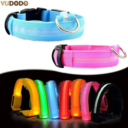 ✨ The Quirkery’s LED Pet Collar – For Pets, Kids, and Kevin’s Nighttime Adventures! 🐾🌟 - The Quirkery